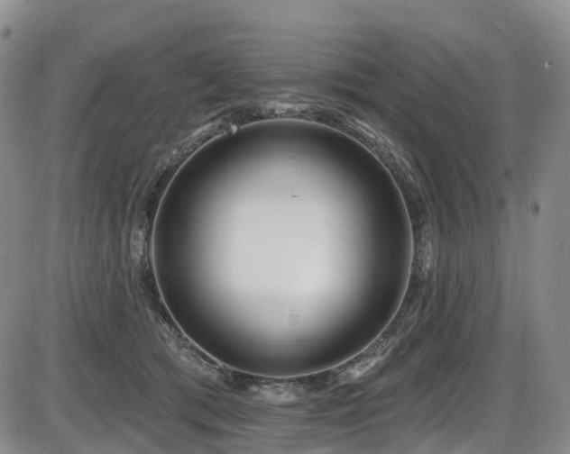 X0000086300417200703301207