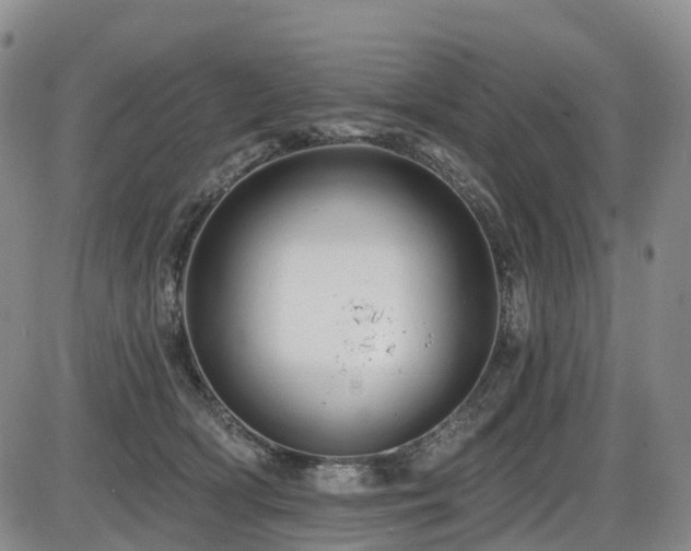 X0000086300418200703301207