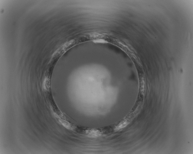 X0000086300419200703301207