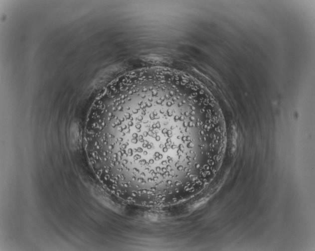 X0000086300420200703301207