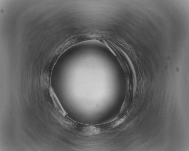 X0000086300421200703301207