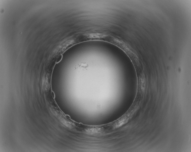 X0000086300422200703301207