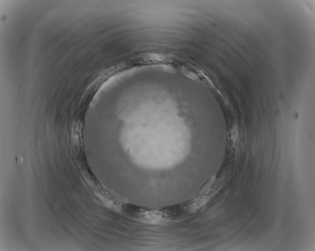 X0000086300423200703301207