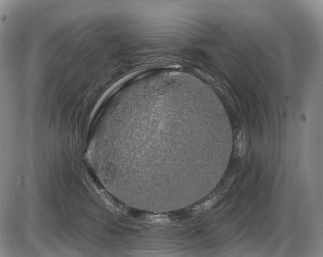 X0000086300424200703301207