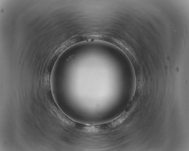 X0000086300425200703301207