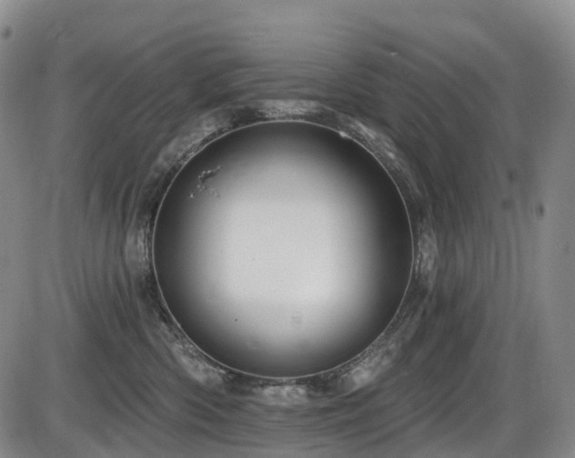 X0000086300426200703301207