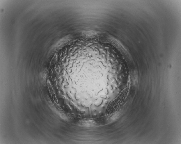 X0000086300427200703301207