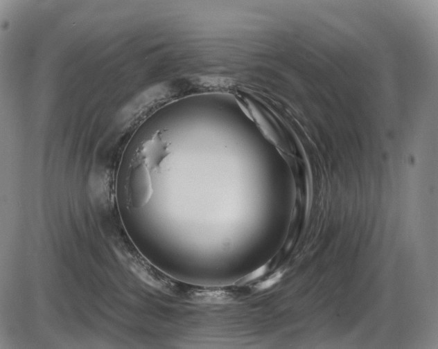 X0000086300428200703301207