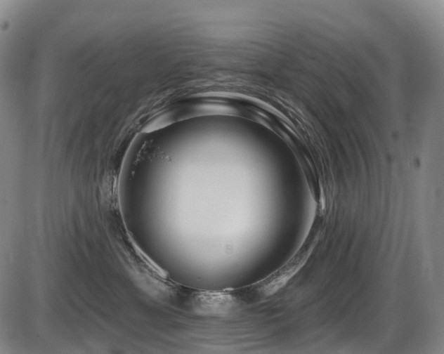 X0000086300429200703301207