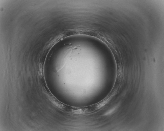 X0000086300430200703301207