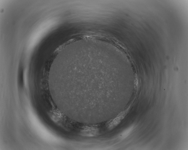 X0000086300431200703301207