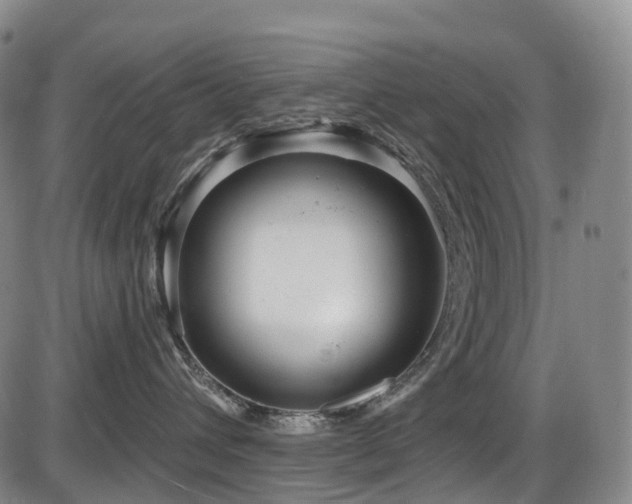 X0000086300432200703301207