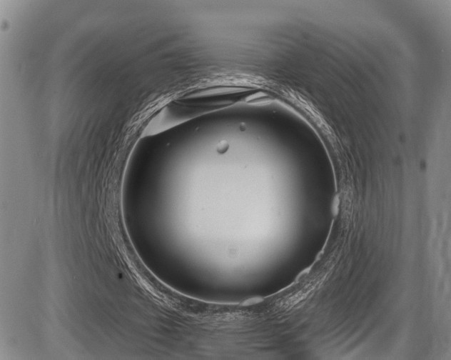 X0000086300433200703301206