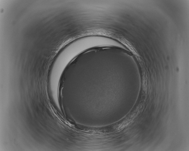 X0000086300434200703301206