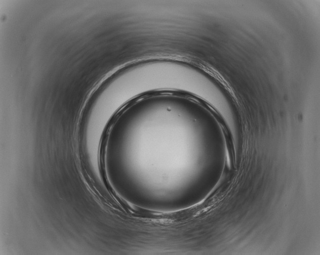 X0000086300436200703301206