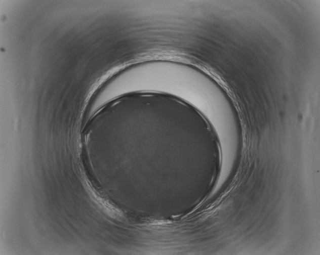 X0000086300438200703301206