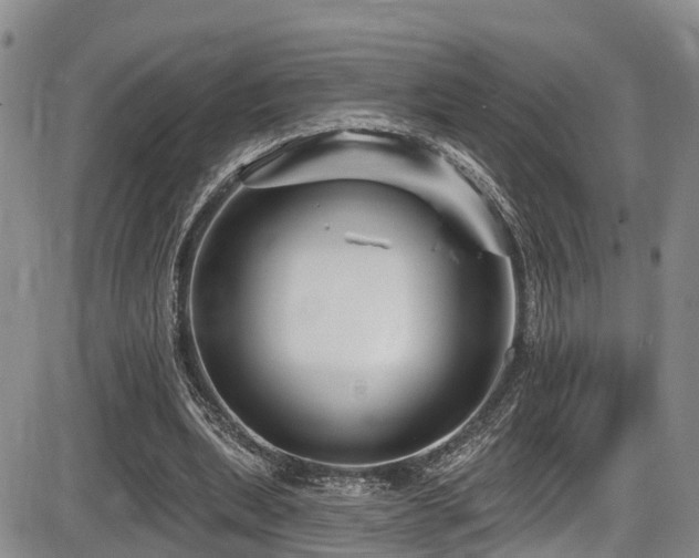 X0000086300439200703301206