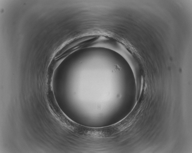 X0000086300440200703301206