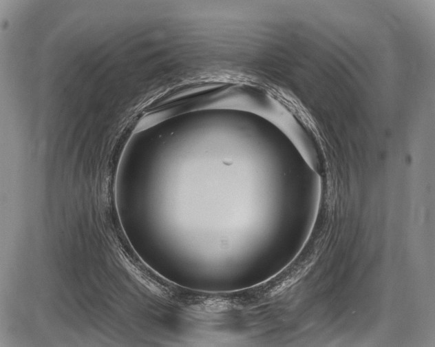 X0000086300441200703301206