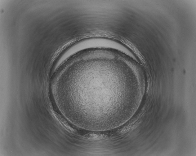 X0000086300442200703301206