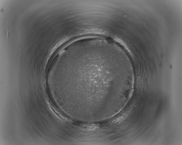 X0000086300443200703301206