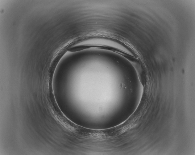 X0000086300446200703301206