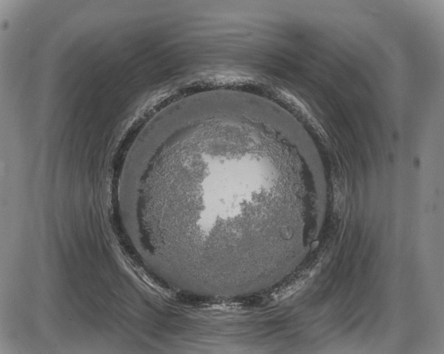 X0000086300447200703301206