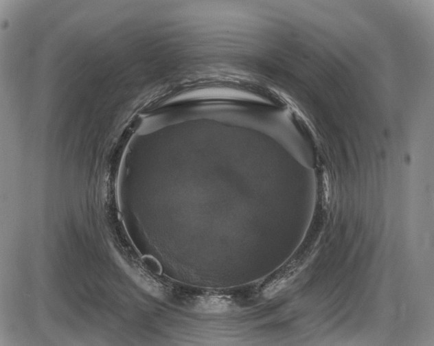 X0000086300451200703301206