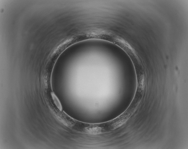 X0000086300452200703301206