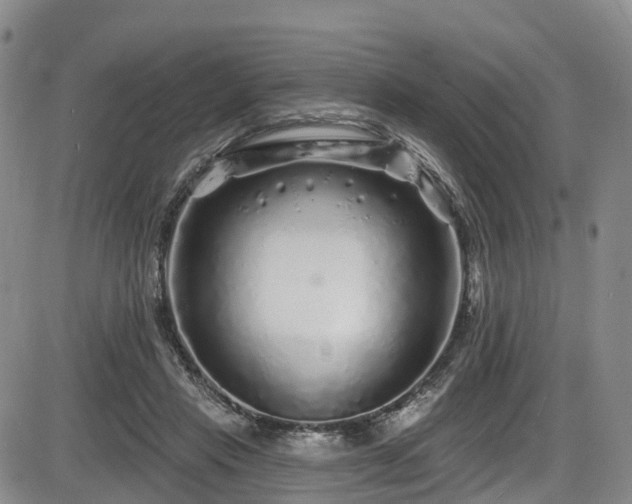 X0000086300453200703301206