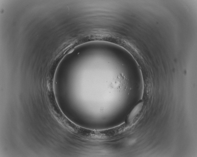 X0000086300455200703301206