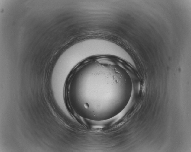 X0000086300456200703301206