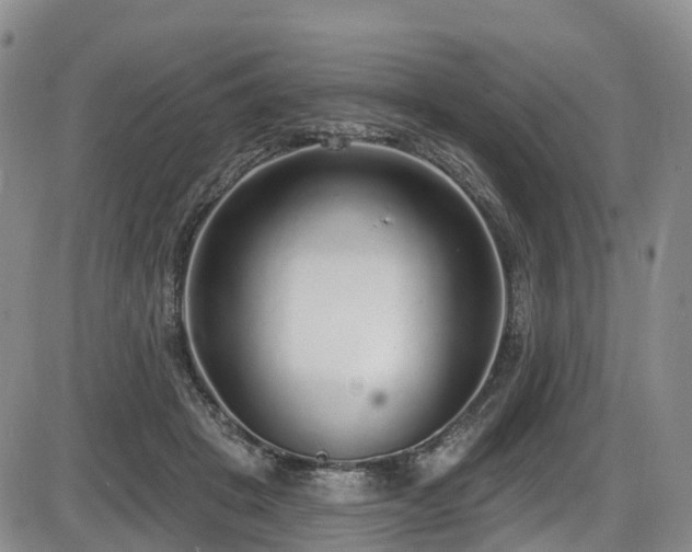 X0000086300457200703301206