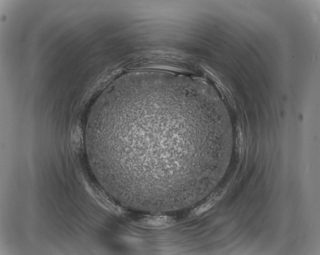 X0000086300459200703301207