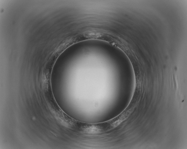 X0000086300460200703301207