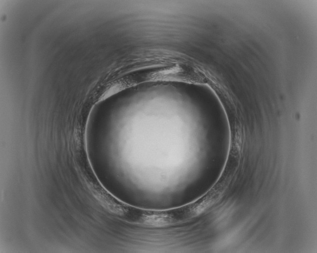 X0000086300461200703301207