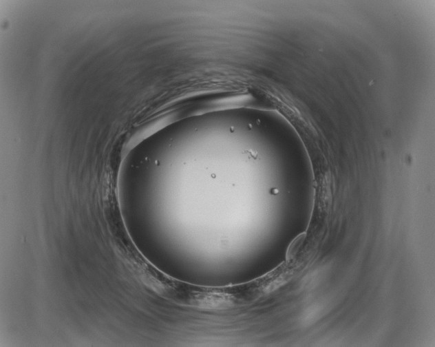 X0000086300463200703301207