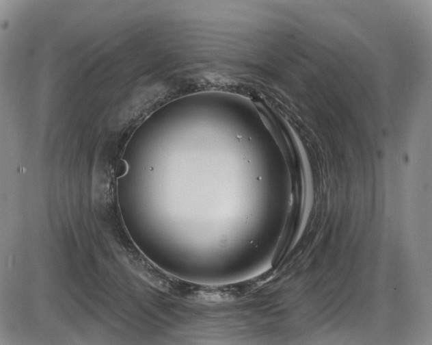 X0000086300464200703301207