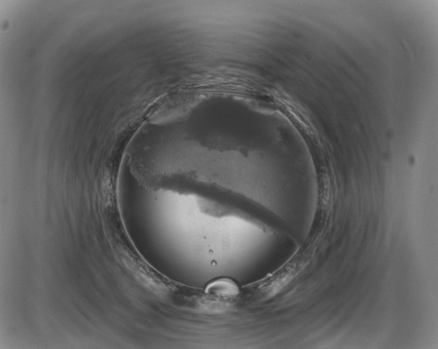 X0000086300465200703301207