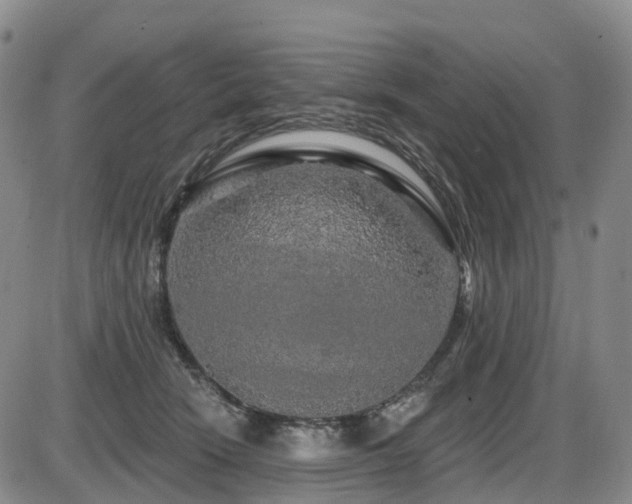 X0000086300466200703301207