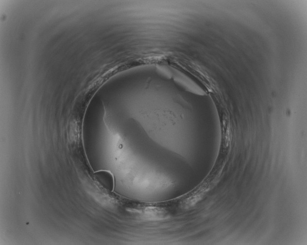 X0000086300467200703301207