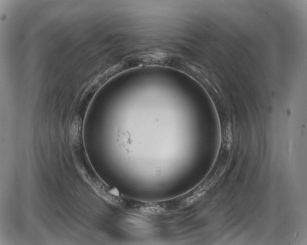 X0000086300468200703301207