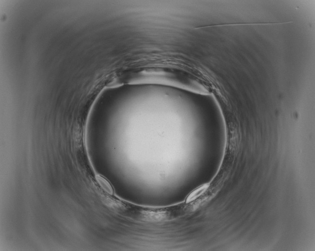 X0000086300469200703301207