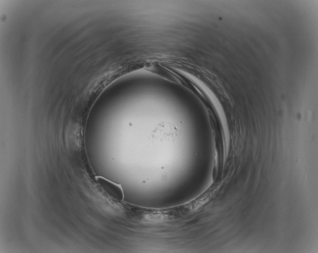 X0000086300470200703301207