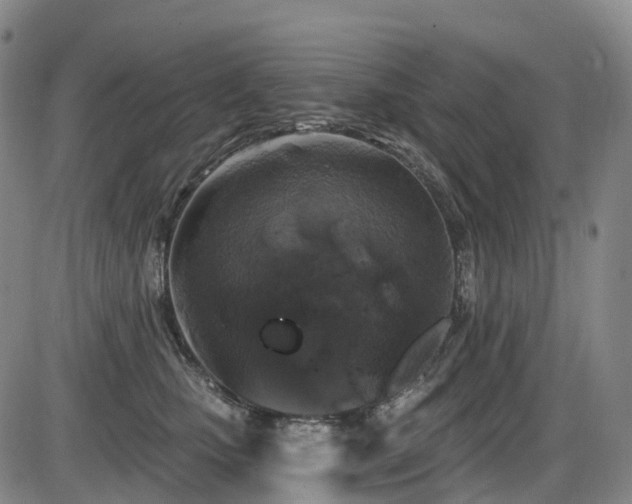 X0000086300471200703301207