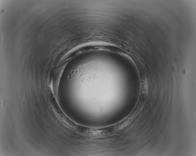 X0000086300472200703301207