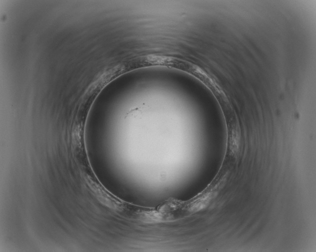 X0000086300473200703301207