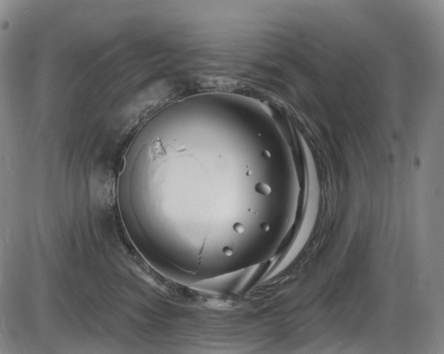 X0000086300474200703301207