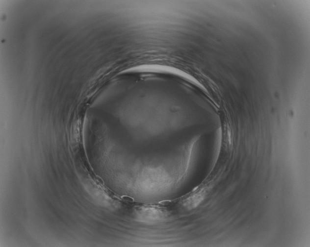 X0000086300475200703301207