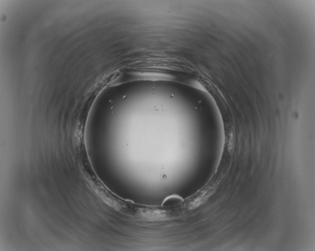 X0000086300476200703301207